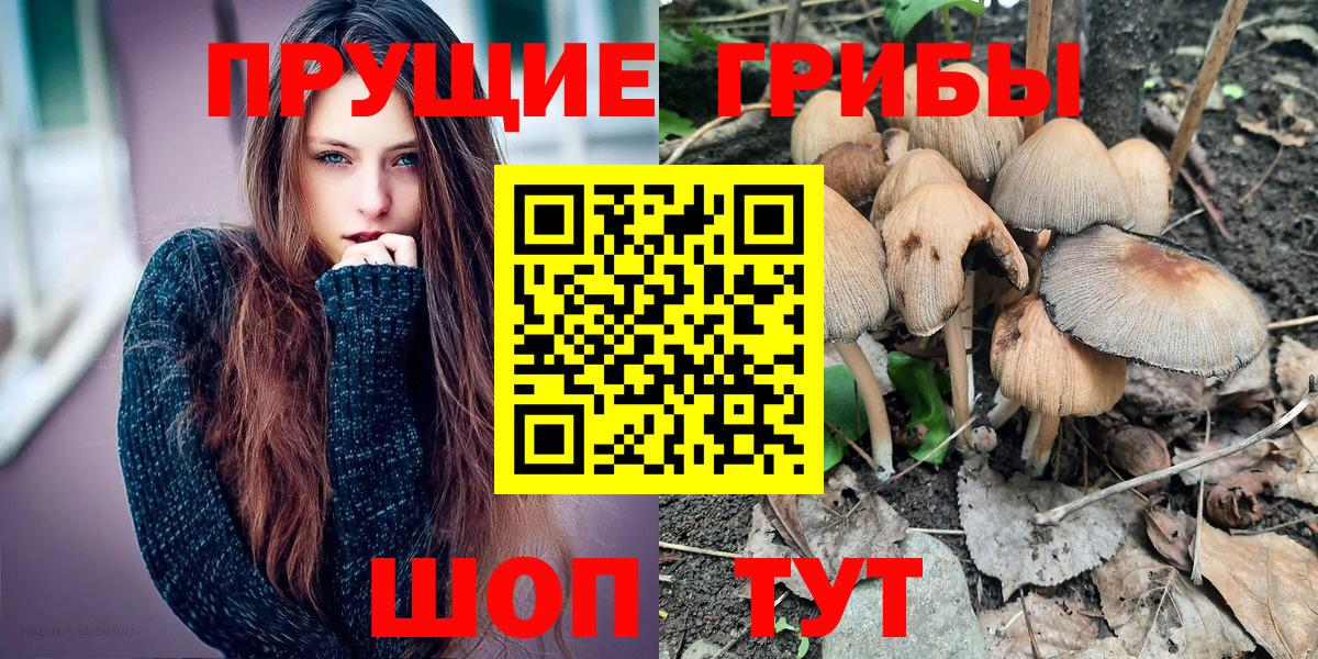 Галлюциногенные грибы мухоморы Рубцовск